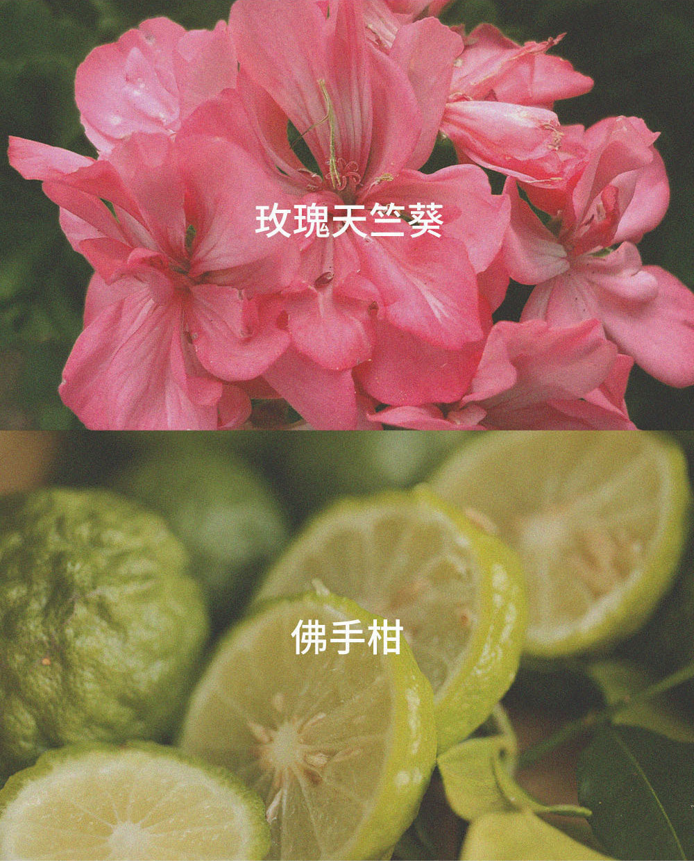 Botalab 博萃瓶 發酵泡泡能維持私處健康 pH 質